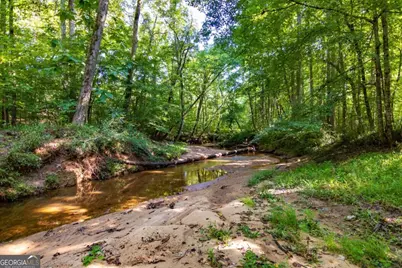 Tract 6 Carlisle Gap Road, Woodland, GA 31836 - Photo 11