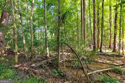 Tract 6 Carlisle Gap Road, Woodland, GA 31836 - Photo 19