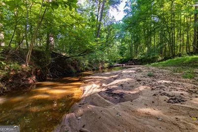 Tract 6 Carlisle Gap Road, Woodland, GA 31836 - Photo 13