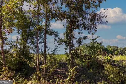 Tract 6 Carlisle Gap Road, Woodland, GA 31836 - Photo 1