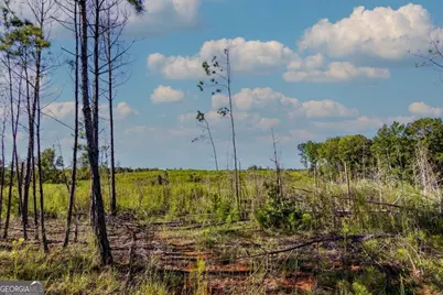 Tract 6 Carlisle Gap Road, Woodland, GA 31836 - Photo 5