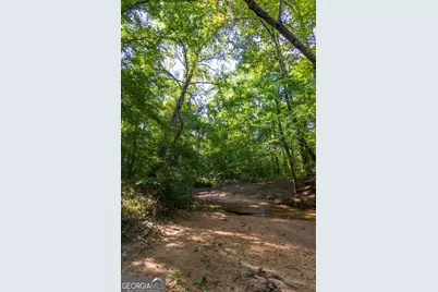 Tract 6 Carlisle Gap Road, Woodland, GA 31836 - Photo 15