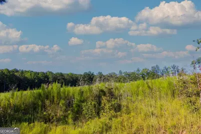 Tract 7 Carlisle Gap Road, Woodland, GA 31836 - Photo 7