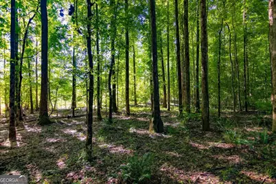 Tract 7 Carlisle Gap Road, Woodland, GA 31836 - Photo 23