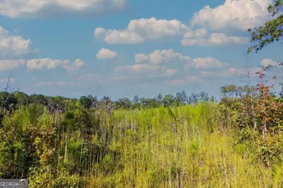 Tract 7 Carlisle Gap Road, Woodland, GA 31836 - Photo 5
