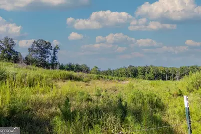 Tract 8 Carlisle Gap Road, Woodland, GA 31836 - Photo 3