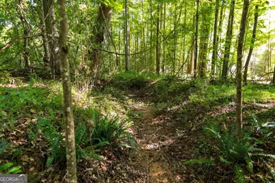 Tract 8 Carlisle Gap Road, Woodland, GA 31836 - Photo 19