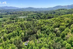 43 Melton Dr, Blairsville, GA 30512 - Photo 57