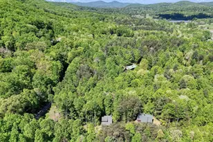 43 Melton Dr, Blairsville, GA 30512 - Photo 59