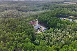 978 Groover Road NE, Ludowici, GA 31316 - Photo 61