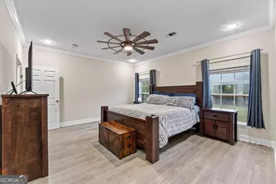 978 Groover Road NE, Ludowici, GA 31316 - Photo 21