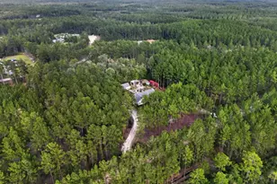 978 Groover Road NE, Ludowici, GA 31316 - Photo 65