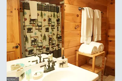 369 Myrna Branch Road, Helen, GA 30545 - Photo 3