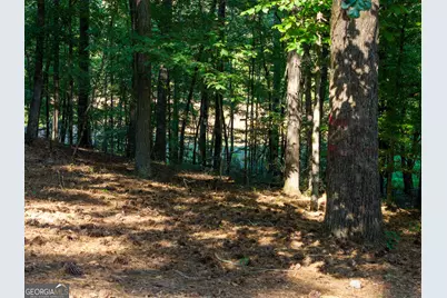126 Morgan Drive, Lagrange, GA 30240 - Photo 77