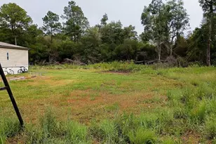 361 James Knight Rd, Jesup, GA 31545 - Photo 17