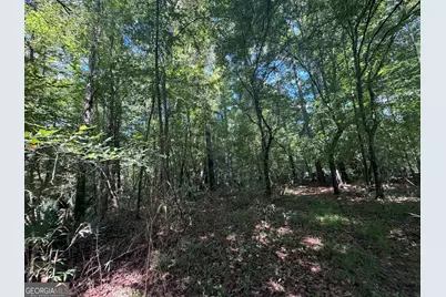 0 Highway 102, Warthen, GA 31094 - Photo 83