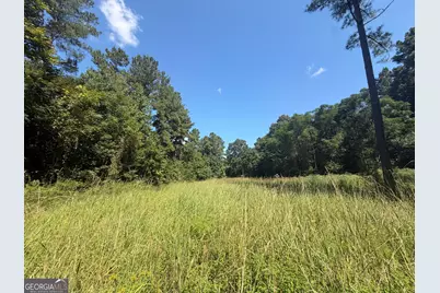 0 Highway 102, Warthen, GA 31094 - Photo 79