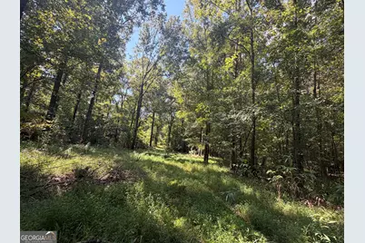 0 Highway 102, Warthen, GA 31094 - Photo 85