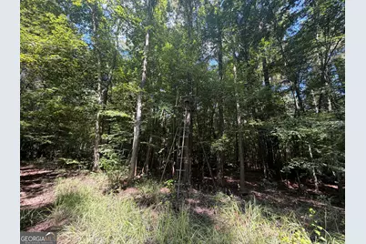 0 Highway 102, Warthen, GA 31094 - Photo 75