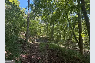 0 Highway 102, Warthen, GA 31094 - Photo 55