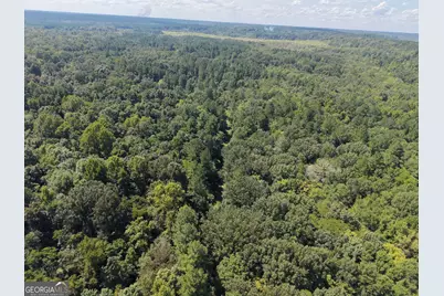 0 Highway 102, Warthen, GA 31094 - Photo 15