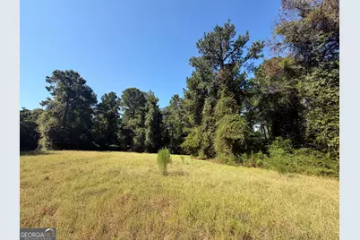 0 Highway 102, Warthen, GA 31094 - Photo 41