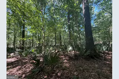 0 Highway 102, Warthen, GA 31094 - Photo 77