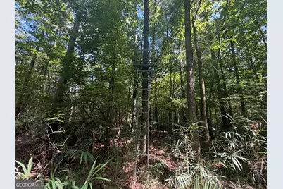 0 Highway 102, Warthen, GA 31094 - Photo 61