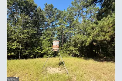 0 Highway 102, Warthen, GA 31094 - Photo 37