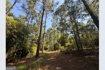 0 Highway 102, Warthen, GA 31094 - Photo 33