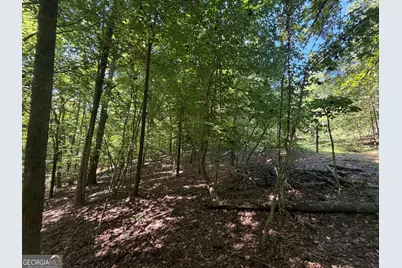 0 Highway 102, Warthen, GA 31094 - Photo 45
