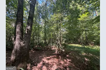 0 Highway 102, Warthen, GA 31094 - Photo 63