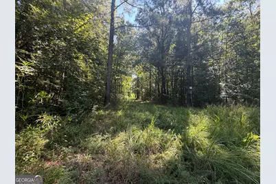 0 Highway 102, Warthen, GA 31094 - Photo 59