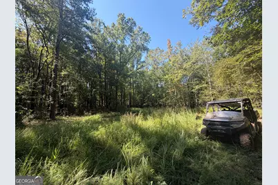 0 Highway 102, Warthen, GA 31094 - Photo 53