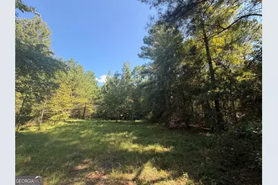 0 Highway 102, Warthen, GA 31094 - Photo 23