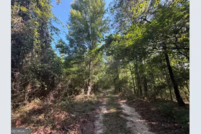 0 Highway 102, Warthen, GA 31094 - Photo 27
