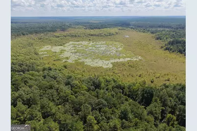 0 Highway 102, Warthen, GA 31094 - Photo 5