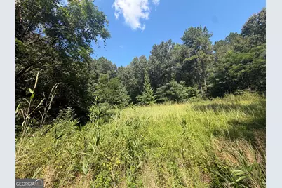0 Highway 102, Warthen, GA 31094 - Photo 47