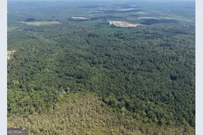 0 Highway 102, Warthen, GA 31094 - Photo 17