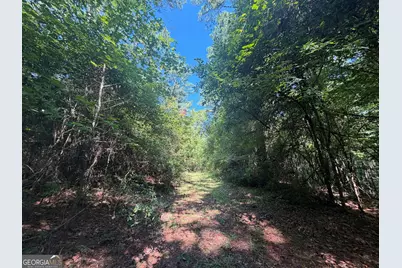 0 Highway 102, Warthen, GA 31094 - Photo 31