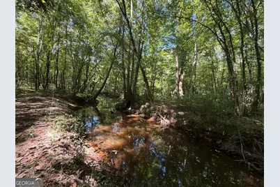 0 Highway 102, Warthen, GA 31094 - Photo 99