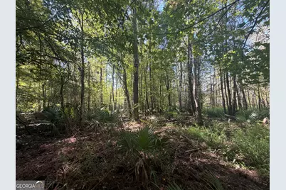 0 Highway 102, Warthen, GA 31094 - Photo 57