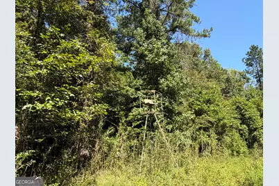 0 Highway 102, Warthen, GA 31094 - Photo 91