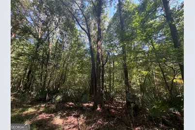 0 Highway 102, Warthen, GA 31094 - Photo 71