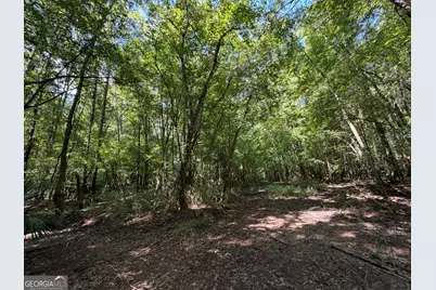 0 Highway 102, Warthen, GA 31094 - Photo 95