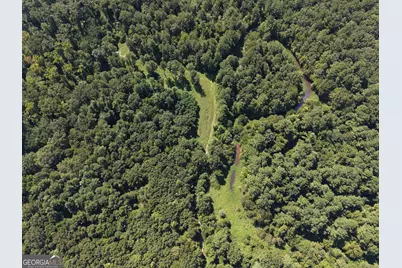 0 Highway 102, Warthen, GA 31094 - Photo 11
