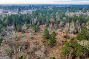 241 Foskey Cemetary Rd, Adrian, GA 31002 - Photo 77
