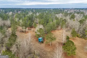 241 Foskey Cemetary Rd, Adrian, GA 31002 - Photo 67