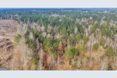 241 Foskey Cemetary Road, Adrian, GA 31002 - Photo 69
