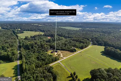 1360 Gum Creek Airport Road, Roopville, GA 30170 - Photo 61